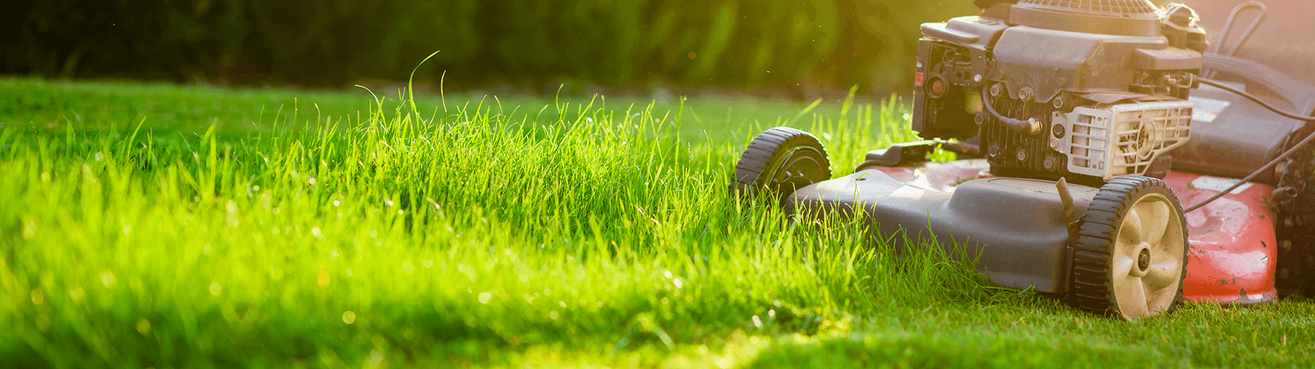 lawn-and-garden (1).png