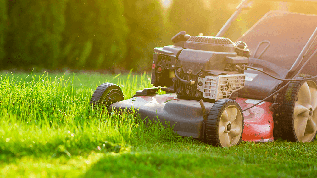 lawn-and-garden (3).png