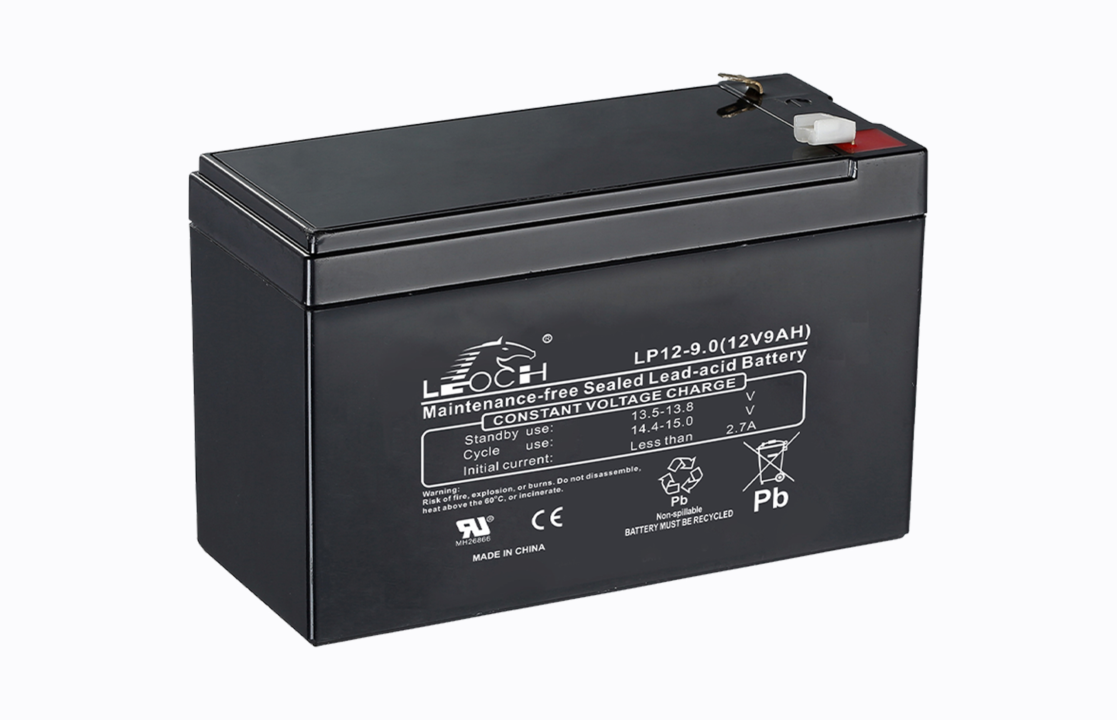 Leoch batteries store